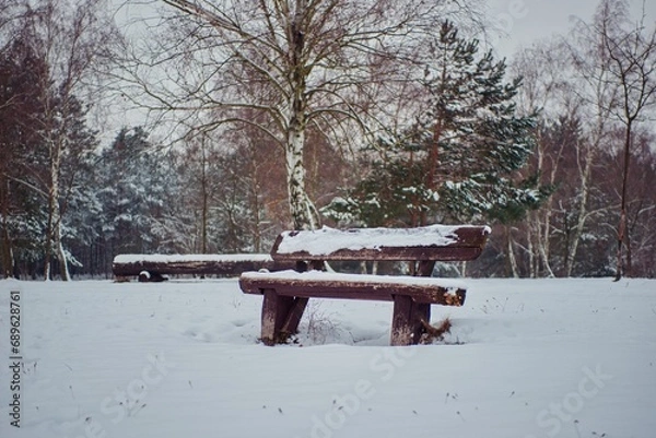 Obraz Solitude only until spring