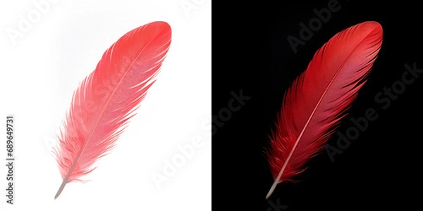 Fototapeta Realistic translucent red feather isolated on transparent background