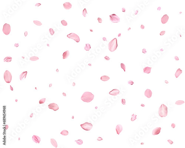 Fototapeta Pink Spring realistic cherry petals.
