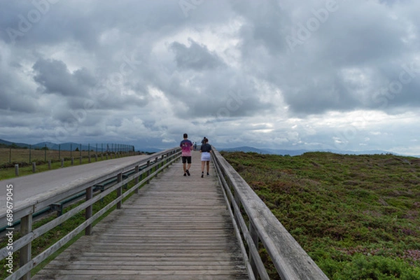 Obraz wooden walkway