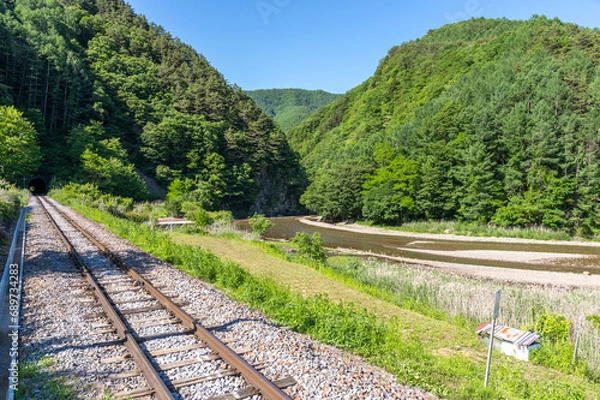 Fototapeta トンネルに向かう小海線の線路
