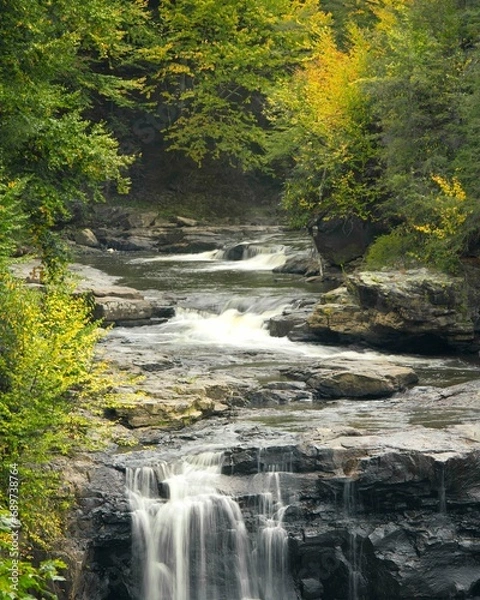 Obraz Blackwater River in West Virginia cascades through a gorge in the Appalachian Mountains with seasonal fall color in abundance.