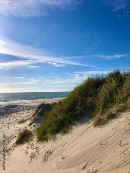 Obraz sand dunes and beach