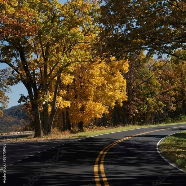 Obraz Skyline Drive in Shenandoah National Park shows off its autumn colors.
