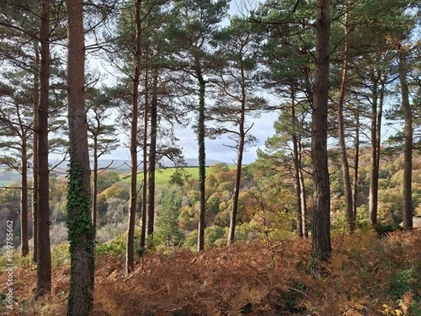 Obraz View from Drewsteignton over the Teign Gorge on an Autumn day in Devon, UK