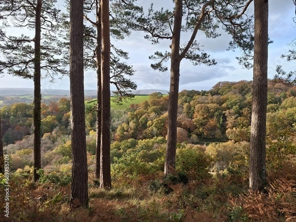 Obraz View from Drewsteignton over the Teign Gorge on an Autumn day in Devon, UK