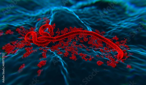 Obraz Ebola wirus 3