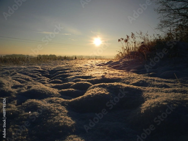 Obraz Lie down here, near Lubin
