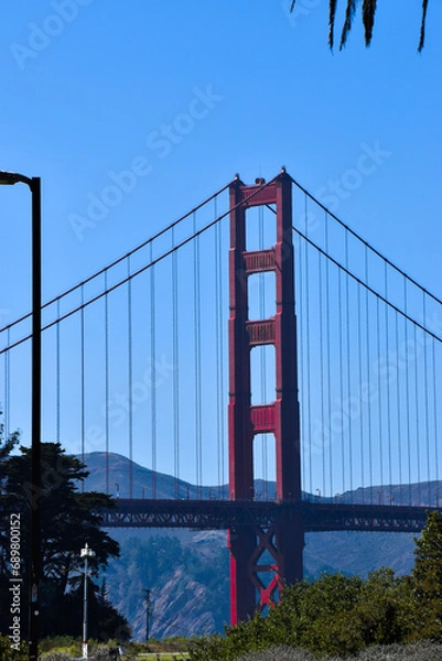 Obraz bridge in California
