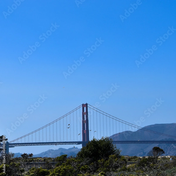 Obraz golden gate bridge