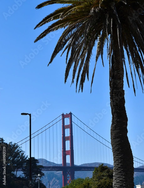 Obraz San Francisco 1