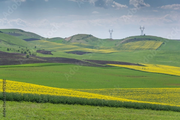 Fototapeta Landscape with rapeseed in Transylvania
