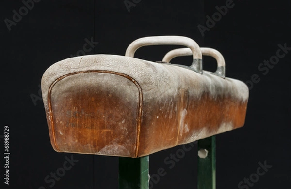 Obraz Gymnastic pommel horse