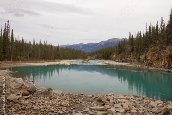 Fototapeta Green and blue Athabasca river in Alberta, Canada