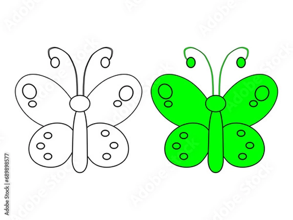 Obraz two green and white butterflies flying