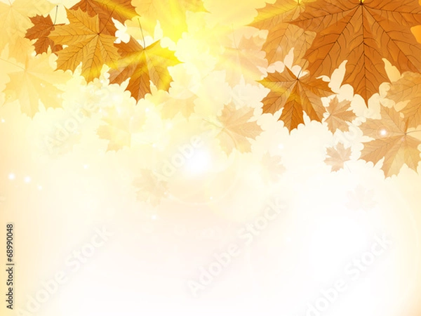 Fototapeta Autumn design background with leaves