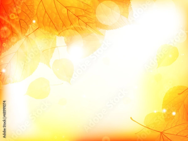 Obraz Autumn design background with leaves