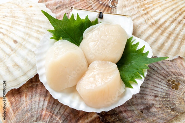 Obraz ホタテの貝殻に盛り付けられた帆立貝柱刺身。
