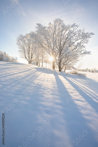 Fototapeta Incredible winter landscape with snowcapped trees under bright sunny light in frosty morning. Amazing nature scenery in winter mountain valley. Awesome natural Background. Christmas time Universal use