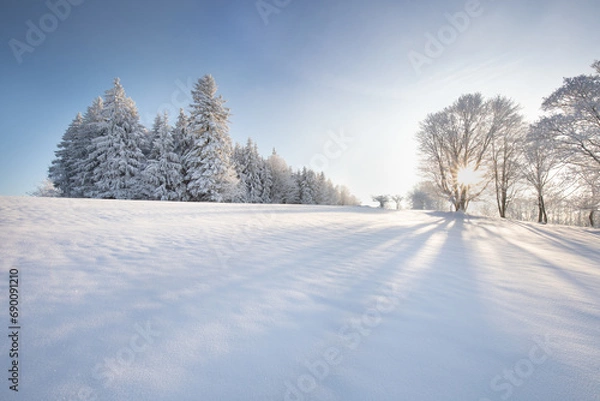 Fototapeta Incredible winter landscape with snowcapped trees under bright sunny light in frosty morning. Amazing nature scenery in winter mountain valley. Awesome natural Background. Christmas time Universal use