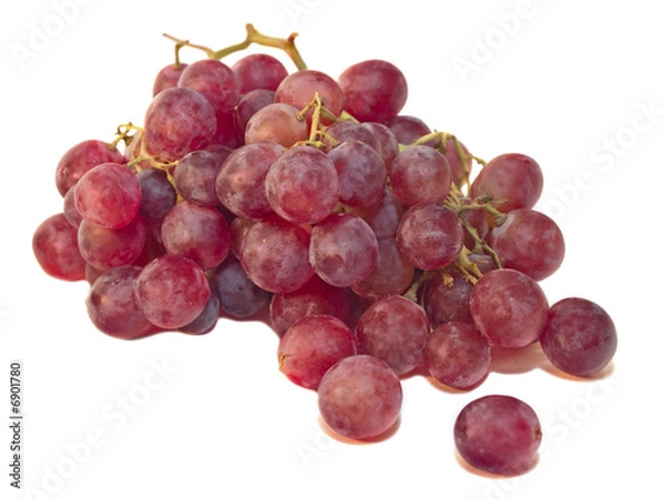Obraz grape