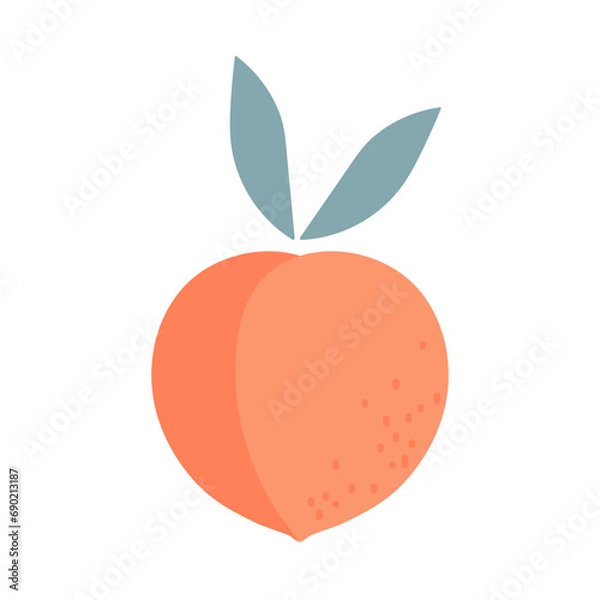 Fototapeta Flat icon fresh peach fruit isolated on white background. Farmer Market Logo. Organic tropical food template for menu, juice label, apricot products, fruit website, banner. Pink healthy sweet fruit