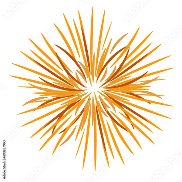 Fototapeta Orange Starburst Firework