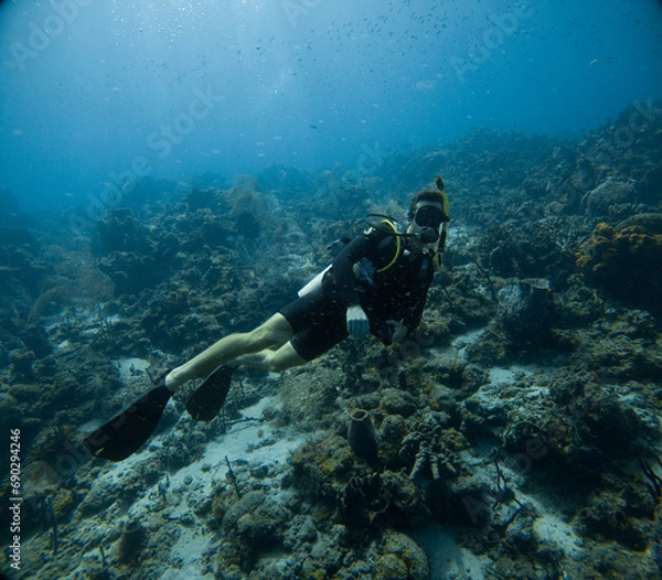 Fototapeta Underwater coral reef with turquoise crystal clear blue water near Saint Lucia.  Beautiful photos from the Caribbean island of St. Lucia.  The famous Superman's flight scuba dive.