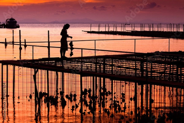 Fototapeta Oyster Farm