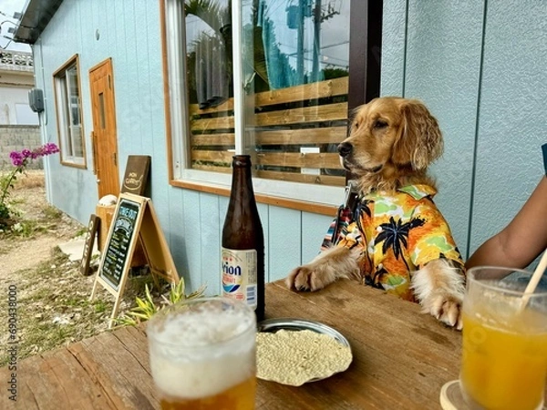 Fototapeta モンカレー／ゴールデンレトニエル