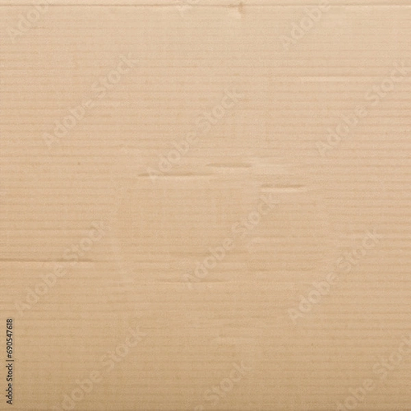 Obraz cardboard texture background