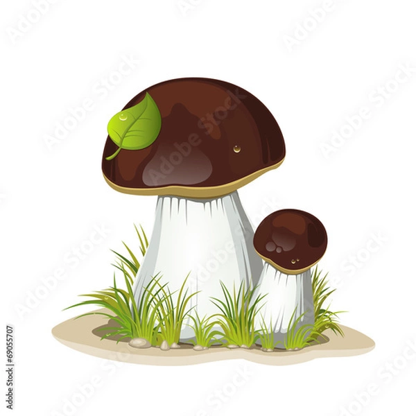 Fototapeta Two ceps isolated on a white background