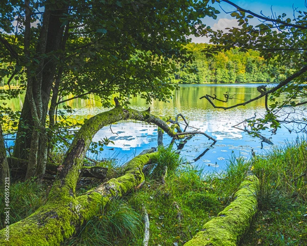 Obraz Kaszubskie jeziora