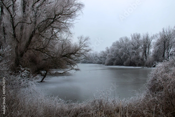Fototapeta Winter nature beauty, ice frozen lake landscape with frosty woods and trees around