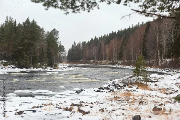 Fototapeta river in winter forest