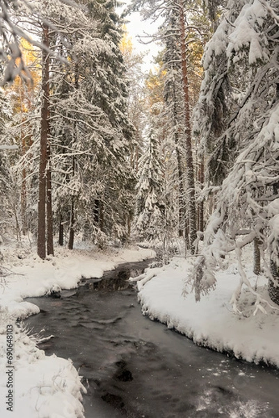 Fototapeta snow covered trees
