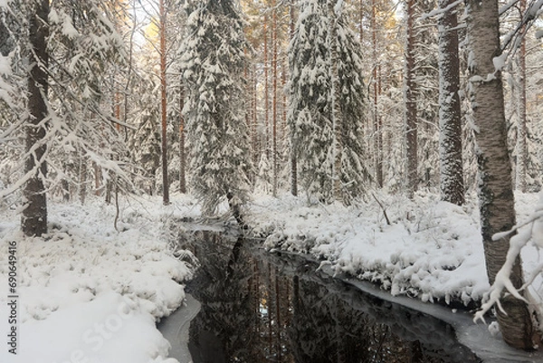 Fototapeta forest with stream in winter