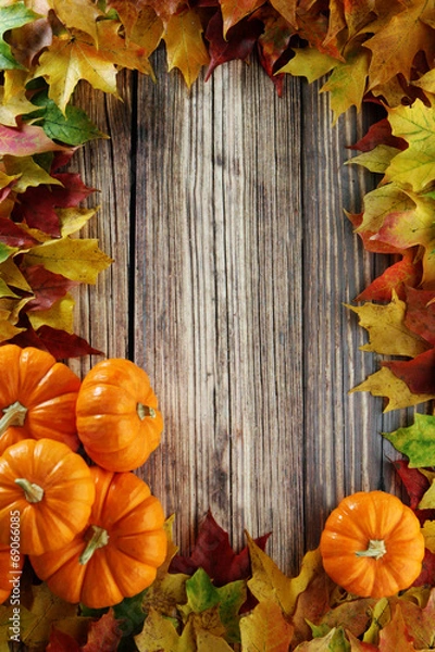 Obraz autumn background