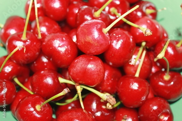 Fototapeta アメリカンチェリー