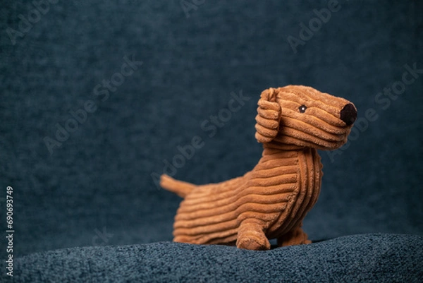 Obraz dog of Teddy, brown soft squishy dog on a dark background