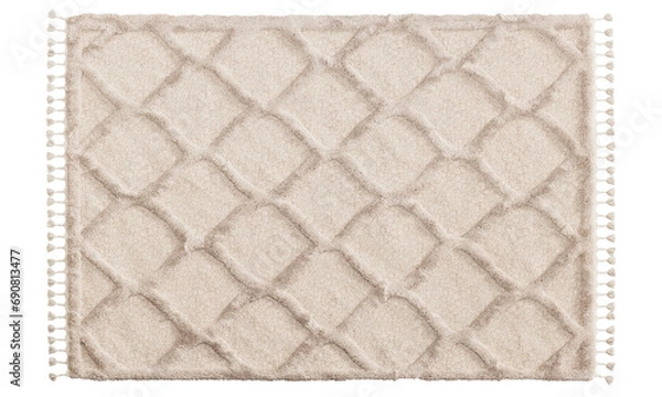 Fototapeta Modern rug with long pile and braids. 3d render