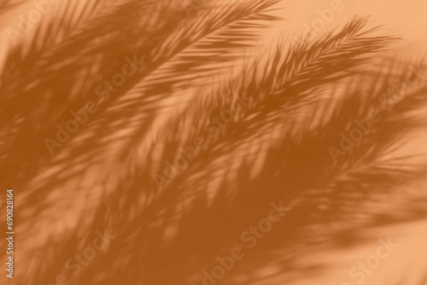 Obraz Shadow of a palm tree leaves on a wall in peach orange colors for a backdrop. Trendy color of the year.