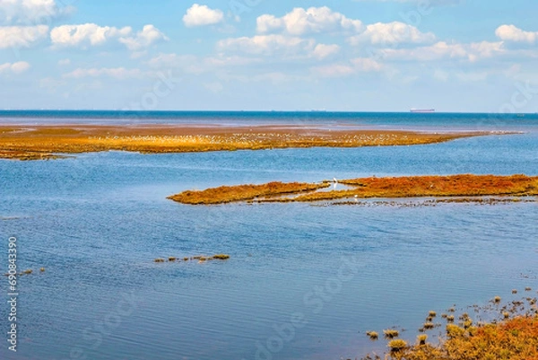 Fototapeta Low tide on the seashore
