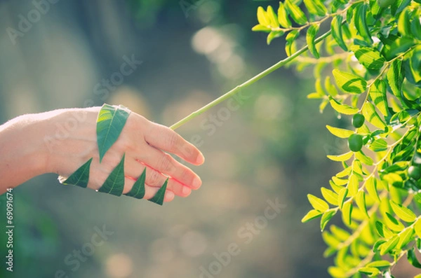 Obraz energie rinnovabili