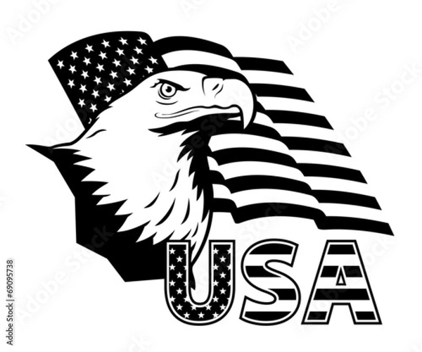 Obraz American eagle against USA flag.