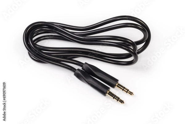 Obraz Analog audio cable with mini stereo connectors on white surface