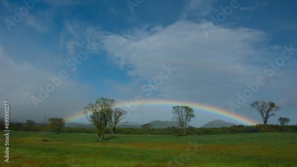 Obraz 들판 나무 위에 뜬 무지개