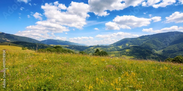 Fototapeta mountainous carpathian countryside scenery with grassy meadows. beautiful rolling landscape in summer with stunning sky and fluffy clouds. view in to the distant rural valley from a green hill
