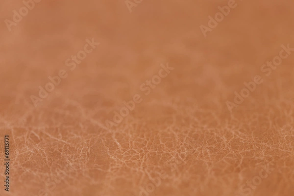 Fototapeta 牛革