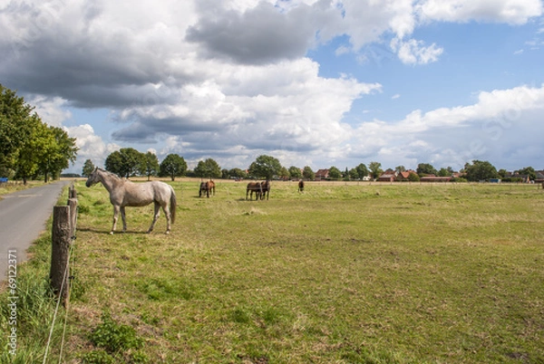 Fototapeta Landscape with horses
